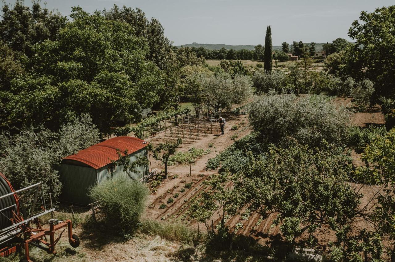 Agriturismo Cerqueto Acquapendente Extérieur photo
